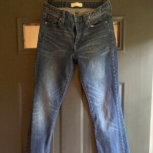 GAP 1969 Perfect Boot Jeans